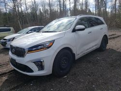 Salvage cars for sale from Copart Bowmanville, ON: 2019 KIA Sorento SX