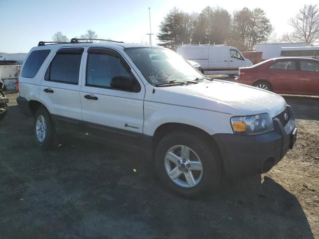 2005 Ford Escape HEV