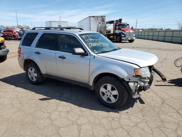 2011 Ford Escape XLT