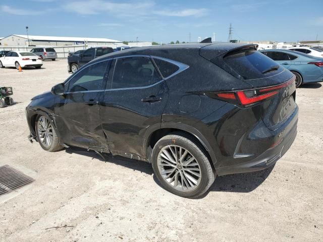 2022 Lexus NX 350