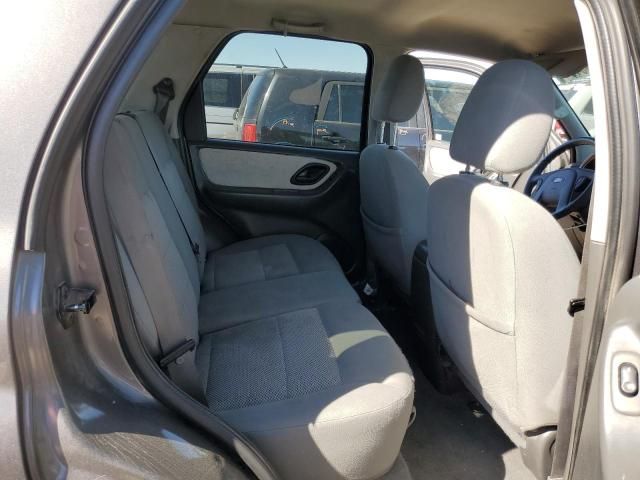 2005 Ford Escape XLT