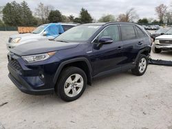 Toyota Rav4 XLE salvage cars for sale: 2019 Toyota Rav4 XLE