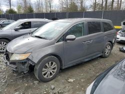 Honda salvage cars for sale: 2014 Honda Odyssey EXL