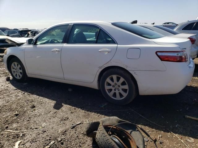 2008 Toyota Camry Hybrid