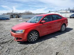 Salvage cars for sale at Albany, NY auction: 2011 Volkswagen Jetta SE