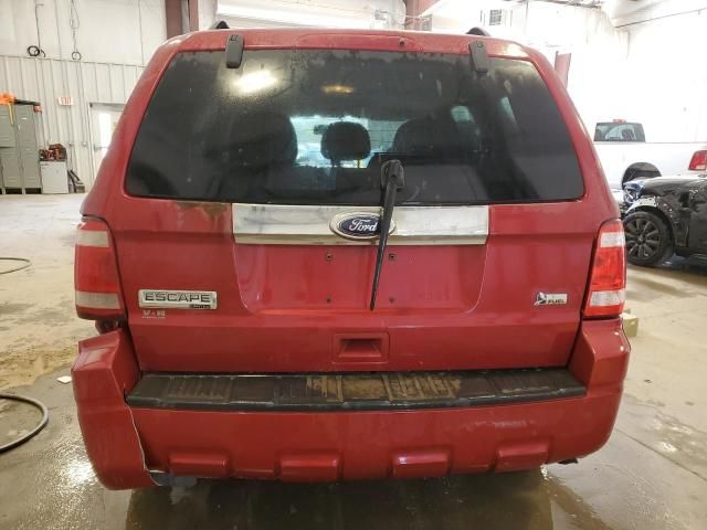 2010 Ford Escape Limited