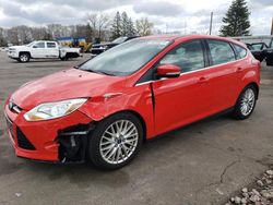 Ford Focus salvage cars for sale: 2012 Ford Focus SEL