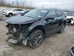 Honda salvage cars for sale: 2021 Honda CR-V EXL