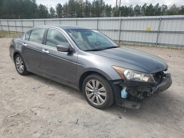 2011 Honda Accord EXL