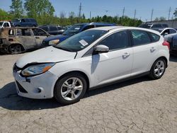 Ford Focus salvage cars for sale: 2014 Ford Focus SE