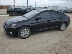 Clean Title Cars for sale at auction: 2019 Hyundai Elantra SE