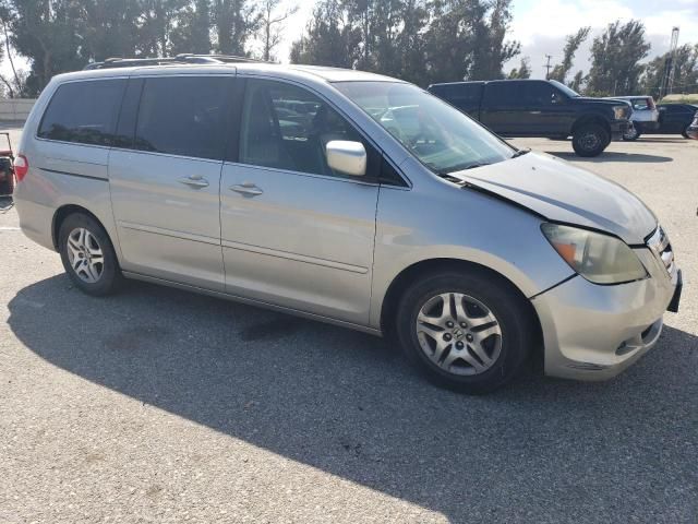 2005 Honda Odyssey EXL