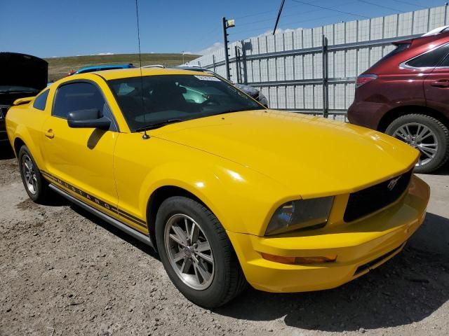 2005 Ford Mustang