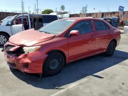Salvage cars for sale from Copart Wilmington, CA: 2009 Toyota Corolla Base