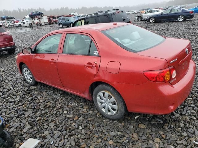 2010 Toyota Corolla Base