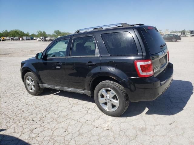 2011 Ford Escape Limited