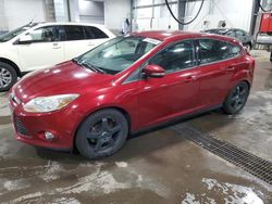 2014 Ford Focus SE en venta en Ham Lake, MN