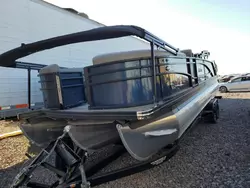 Salvage boats for sale at Phoenix, AZ auction: 2022 Barl Corsa 25UE