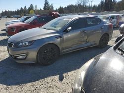 KIA Optima sx salvage cars for sale: 2013 KIA Optima SX