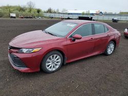 Salvage cars for sale at Columbia Station, OH auction: 2020 Toyota Camry LE