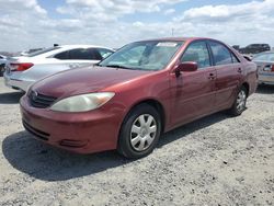 Salvage cars for sale from Copart Sacramento, CA: 2004 Toyota Camry LE
