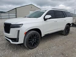 2023 Cadillac Escalade Sport Platinum en venta en Lawrenceburg, KY