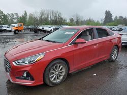 Salvage cars for sale at Portland, OR auction: 2019 Hyundai Sonata SE