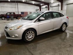 Ford Focus salvage cars for sale: 2012 Ford Focus SE