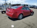 2010 Cadillac CTS Premium Collection