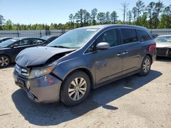 Honda Odyssey salvage cars for sale: 2016 Honda Odyssey SE