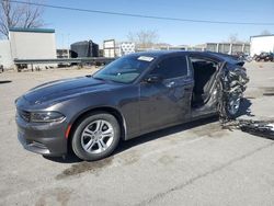 Salvage cars for sale at Anthony, TX auction: 2023 Dodge Charger SXT