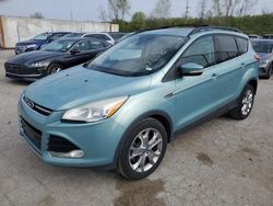 Salvage cars for sale at Cahokia Heights, IL auction: 2013 Ford Escape SEL