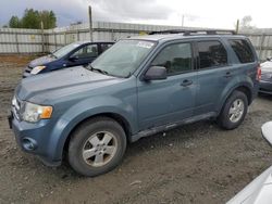 Salvage cars for sale from Copart Arlington, WA: 2012 Ford Escape XLT
