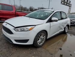 Ford Focus SE salvage cars for sale: 2017 Ford Focus SE