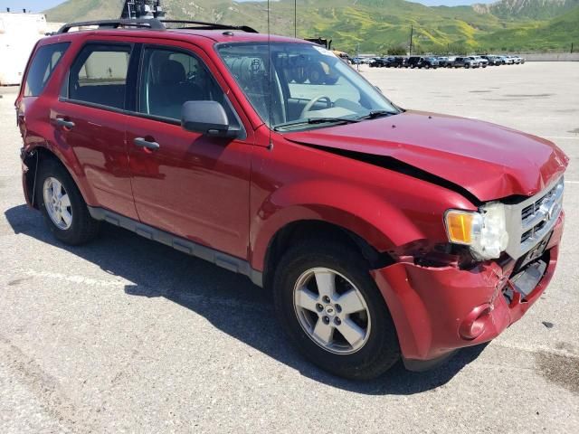 2010 Ford Escape XLT