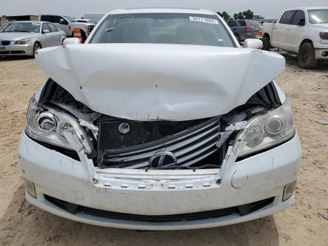 2010 Lexus ES 350