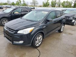 Salvage cars for sale at Bridgeton, MO auction: 2013 Ford Escape SEL