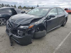 Salvage cars for sale from Copart Rancho Cucamonga, CA: 2023 Toyota Camry SE Night Shade