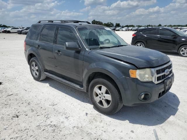 2009 Ford Escape XLT