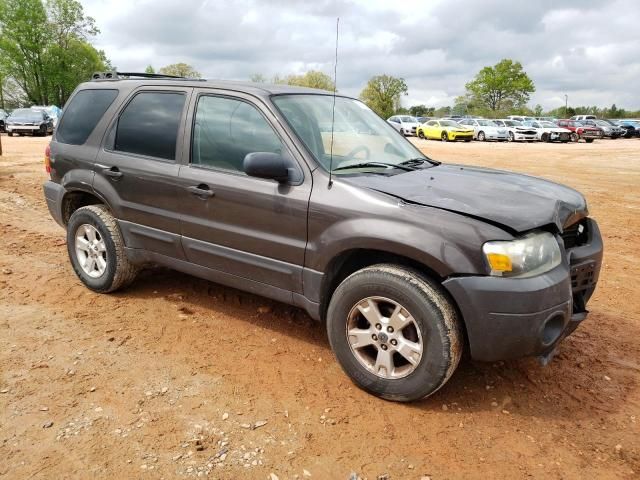 2006 Ford Escape XLT