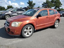 Dodge Caliber salvage cars for sale: 2010 Dodge Caliber SXT