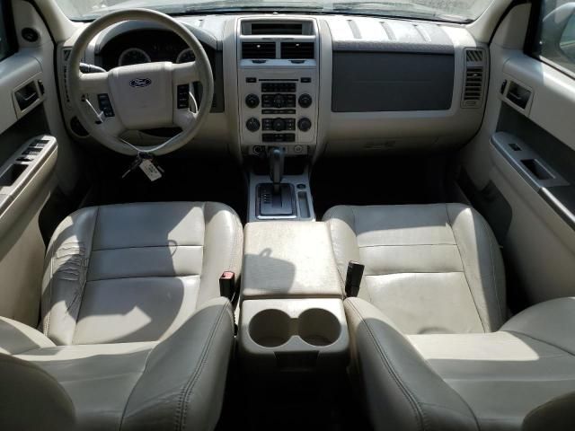 2009 Ford Escape XLT