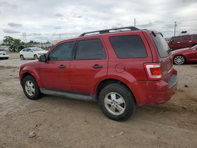 2011 Ford Escape XLT