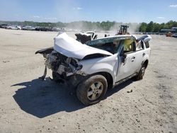 Salvage cars for sale at Spartanburg, SC auction: 2010 Ford Escape XLT