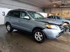 2007 Hyundai Santa FE GLS