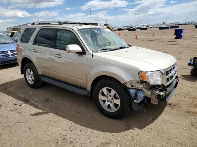 2011 Ford Escape Limited