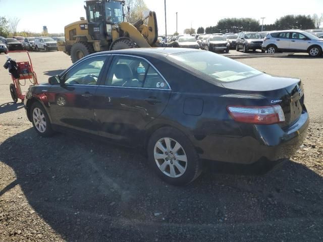 2009 Toyota Camry Hybrid