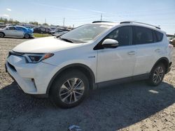 Toyota rav4 hv le salvage cars for sale: 2017 Toyota Rav4 HV LE