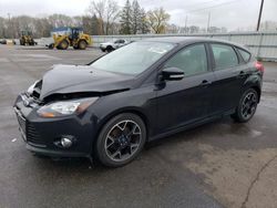 Salvage cars for sale at Ham Lake, MN auction: 2012 Ford Focus SE