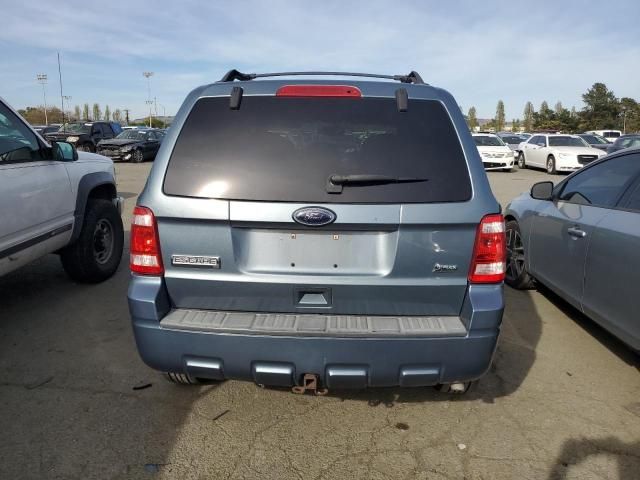 2010 Ford Escape XLT